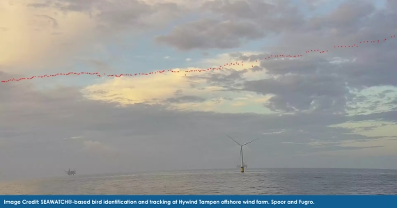 SEAWATCH®-based bird identification and tracking system in operation at the Hywind Tampen offshore wind farm. The image shows advanced monitoring equipment mounted on a buoy in open waters, representing Spoor and Fugro's AI-powered environmental solution. Image credit: Spoor and Fugro.